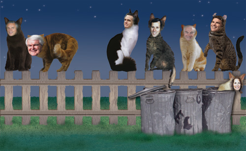 The six remaining political cats are sitting on a fence