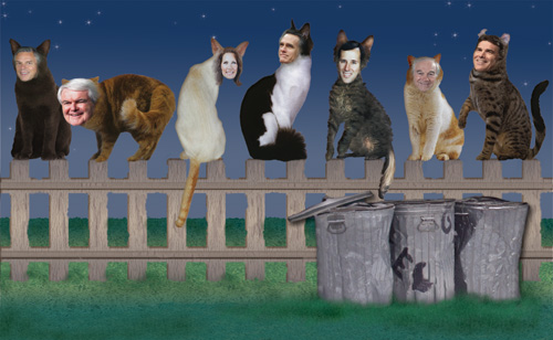 Seven political cats are sitting on a fence