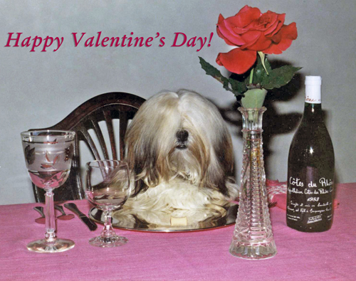 A pampered furry dog is sitting at an elegant dinner table with wine and roses